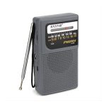 MINI RADIO PORTATIL DIAL ANALOGICO MODV-001F - VARIOS - GRIS