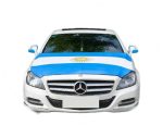 KIT DE ACCESORIOS PARA AUTO MODV-00EY - VARIOS - CELESTE - Imagen 2